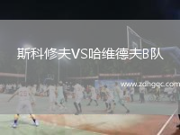 斯科修夫VS哈維德夫B隊