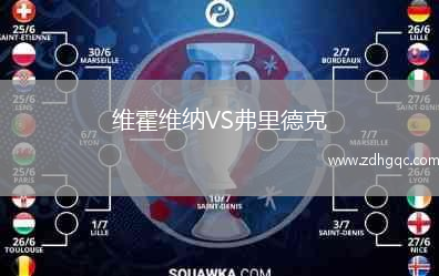 維霍維納VS弗里德克