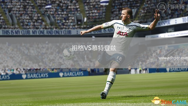 祖格VS慕特登茲