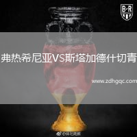 弗熱希尼亞VS斯塔加德什切青