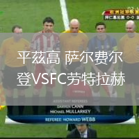 平茲高 薩爾費(fèi)爾登VSFC勞特拉赫