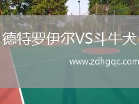 德特羅伊爾VS斗牛犬