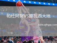 帕杜阿努VS挪瓦西大地