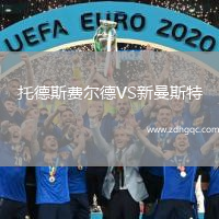 托德斯費(fèi)爾德VS新曼斯特